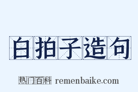 白拍子造句是什么意思的图片